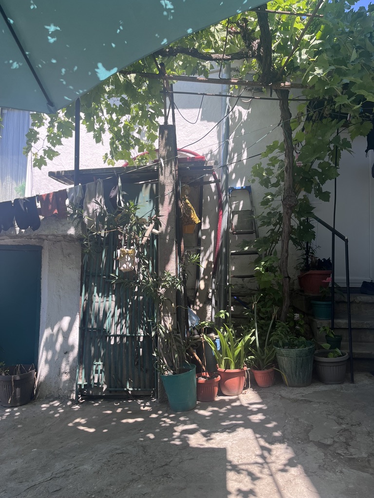 Home