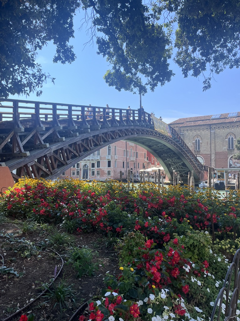 Bridge