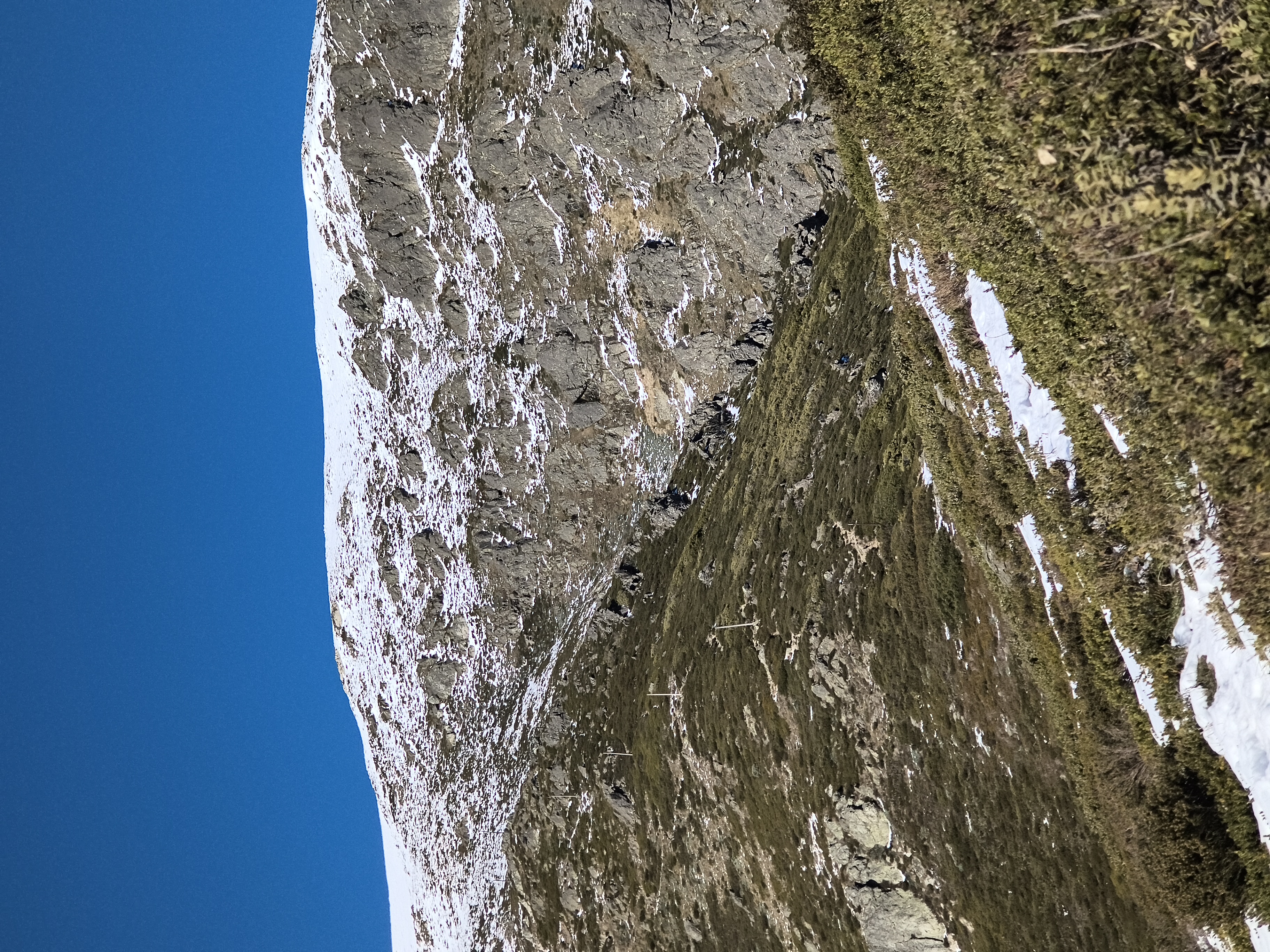 Summit